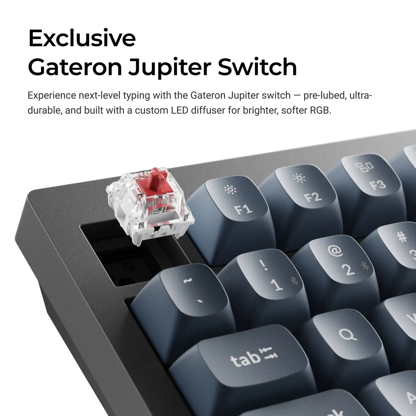 V1 Max QMK Fully Assembled Knob Custom Mechanical Keyboard 2.4 Ghz & Bluetooth Wireless Double-Shot OSA PBT Keycaps